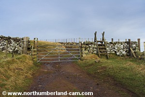 The gate and very high stile.