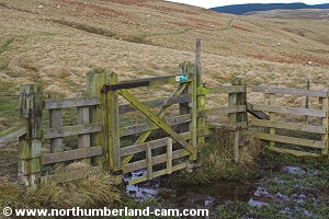 The stile and gate in a bog.