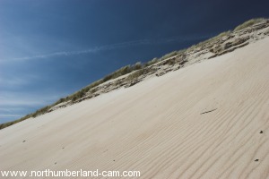 One of the large sand dunes.