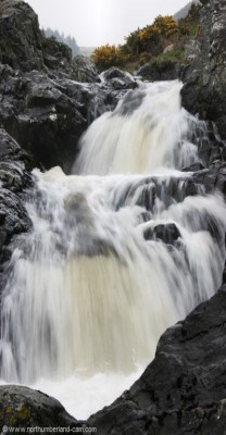 More views of the Carey Burn Waterfalls.