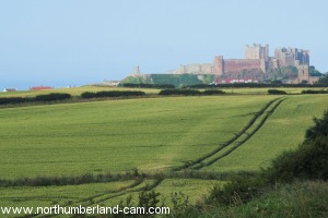 View back to Bamburgh.