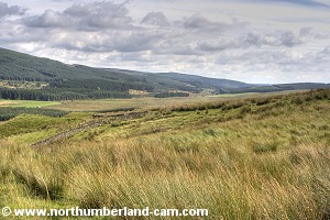 View back across and down the valley to Kielder.