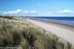 View north along Druridge Bay from top of the dunes.