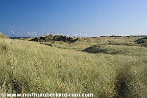 Path through the dunes towards Snipe Point.