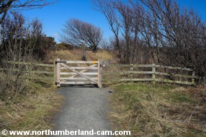 Gate on the footpath near the road.
