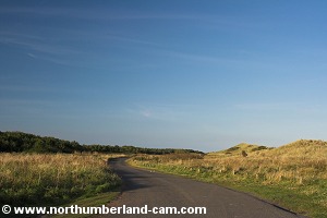 Road behind the dunes.