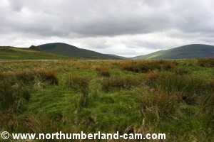 View to the left - Cheviot & Hedgehope.