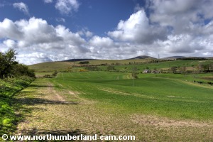 View to the Cheviot Hills.