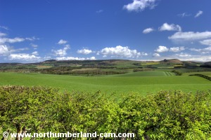 View across the valley to Bewick Moor.