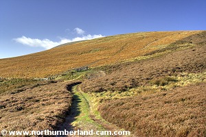 View up the well worn path to Scald Hill.