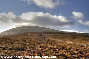 View to the top of Scald Hill and The Cheviot.