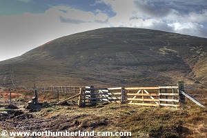 View of The Cheviot from Scald Hill.
