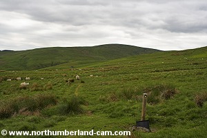 Approaching the path from Ewartly Shank to Low Bleakhope near Little Dod.