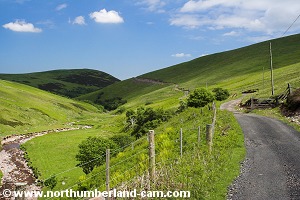 Road along the north slopes of Shill Moor.