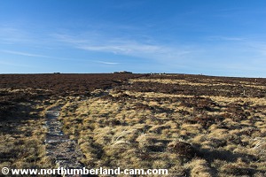The path to Simonside Crags.