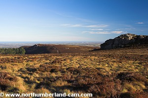 View back from Simonside Crags to Dove Crag.