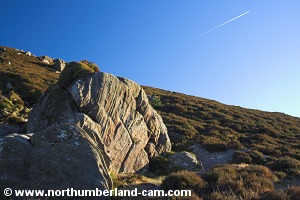 View of Simonside Crags on the path down.