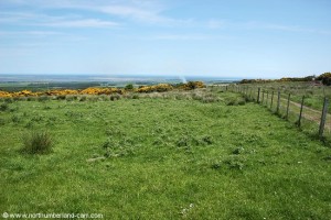 St. Cuthberts Way - view to the coast