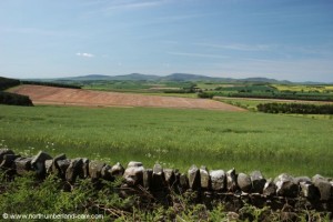 View to Cheviot Hills.
