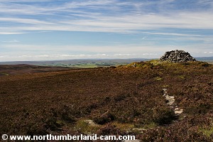 Approaching the cairn on Tosson Hill.